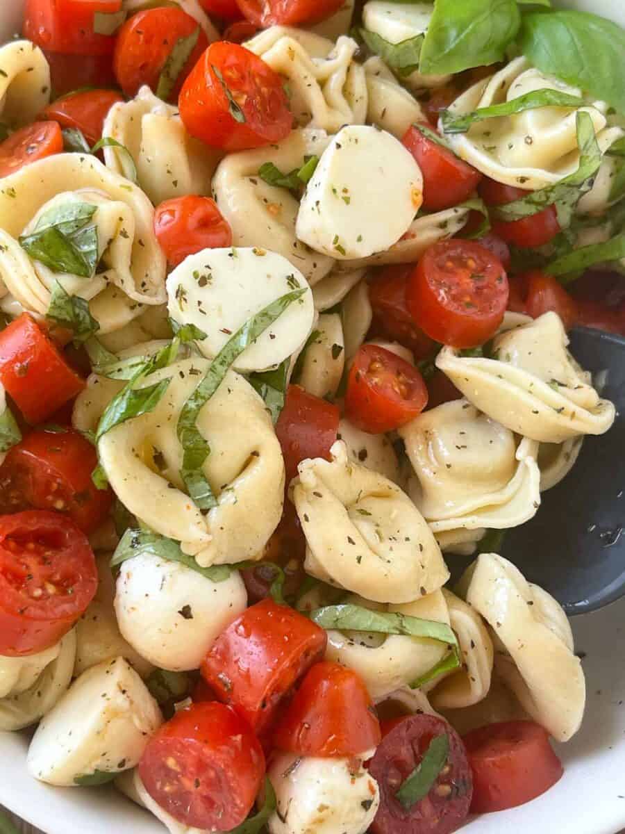 very closeup view of tortellini caprese salad