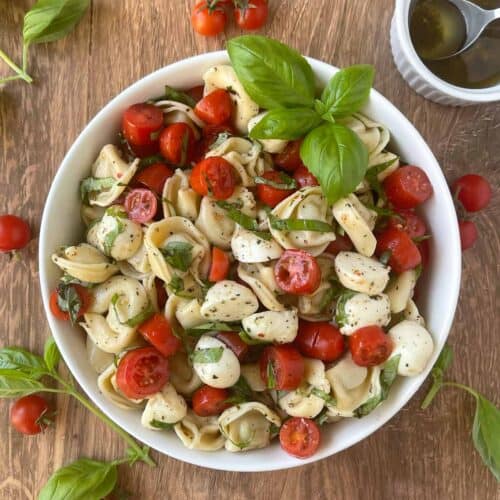 overhead view of tortellini caprese pasta salad