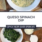 Spinach Queso Dip Pin Image 6
